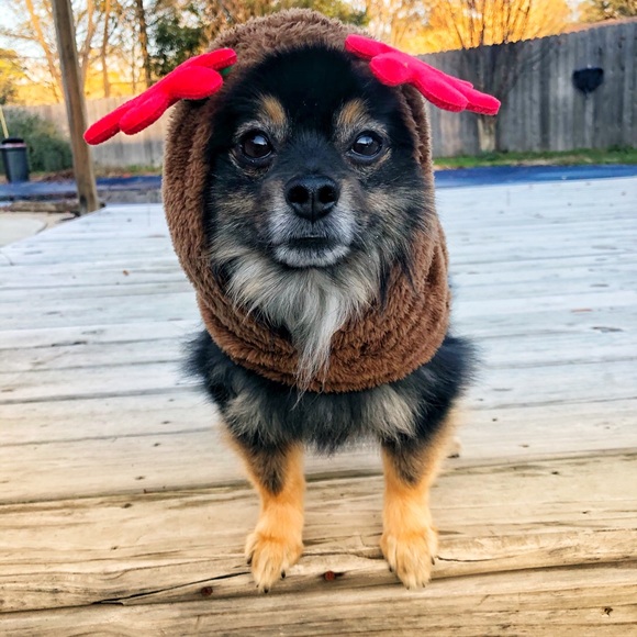 Meet your Posher, Donna - Picture 1 of 7